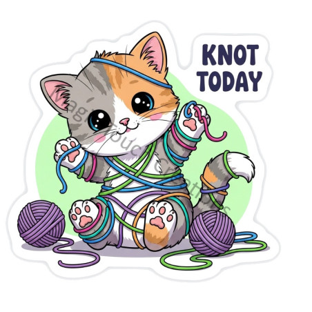 Knot Today Sticker