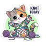 Knot Today Sticker