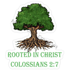 Rooted in Christ Sticker
