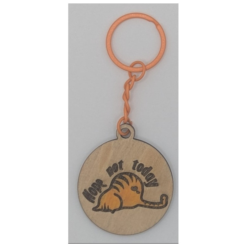 Nope, Not Today Cat Keyring