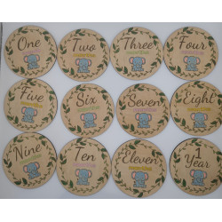 Wooden Baby Milestone Discs – Elephant Design (1 Month to 1 Year)