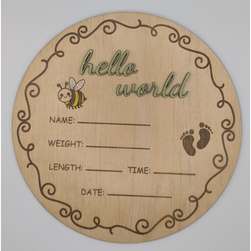 Hello World Baby Announcement Disc