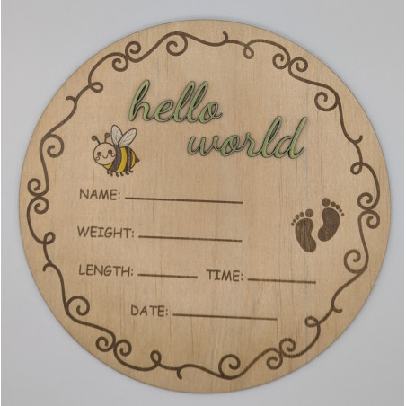 Hello World Baby Announcement Disc