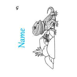 Custom Drink Bottles | Personalized Water Bottles & Tumblers